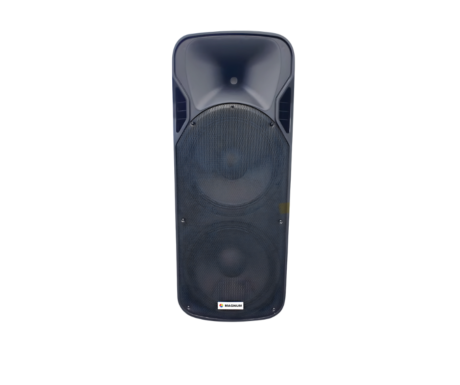 MAGNUM 15"" SPEAKER POWER SYSTEM"