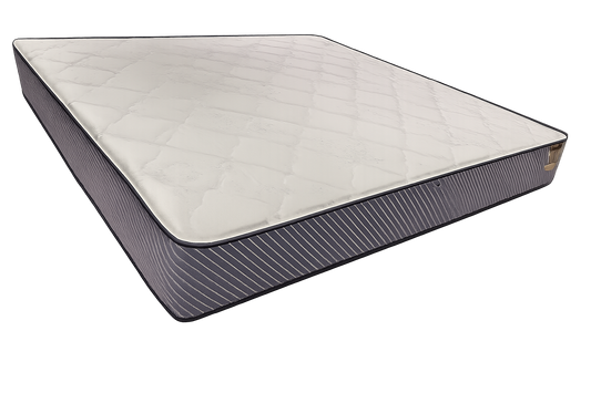 Therapedic Nocturnal Mattress