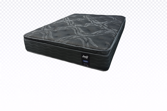 Sealy Plus Exquisite Eurotop Mattress