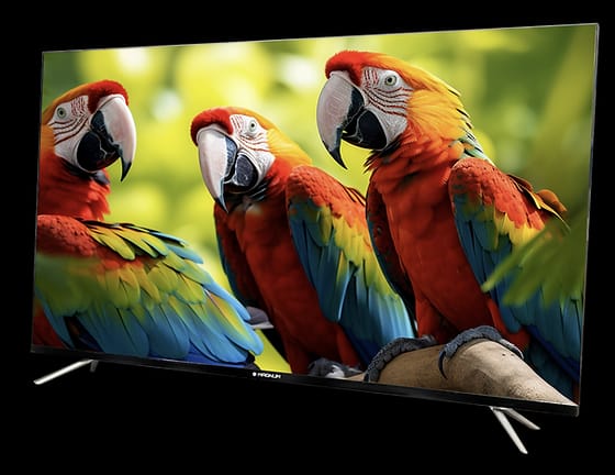 MAGNUM SMART TVS